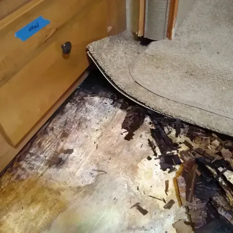 Wood Floor Water Damage in Saline County, IL